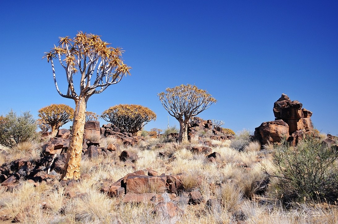 Namibia z Elą i Marcinem