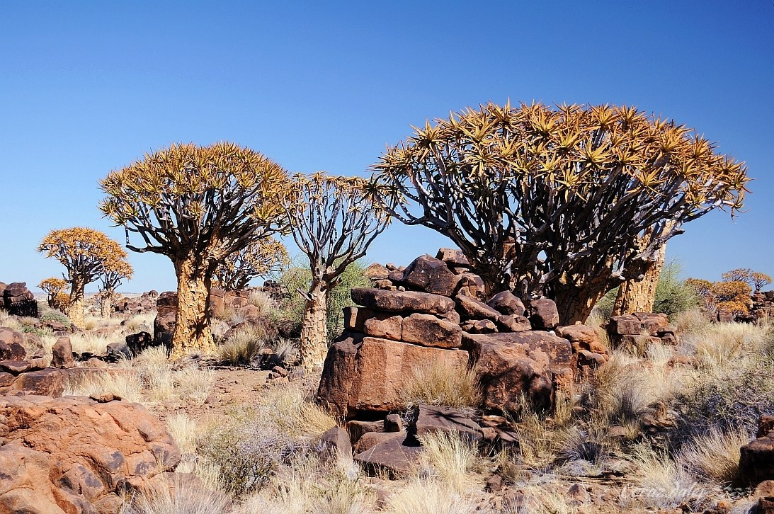 Namibia z Elą i Marcinem