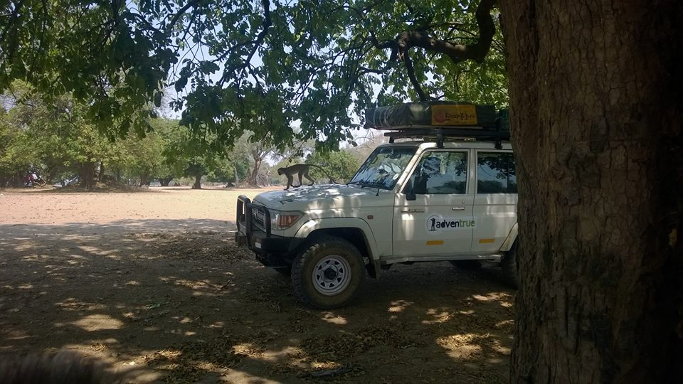 Zambia, Malawi, Mozambik, Zimbabwe