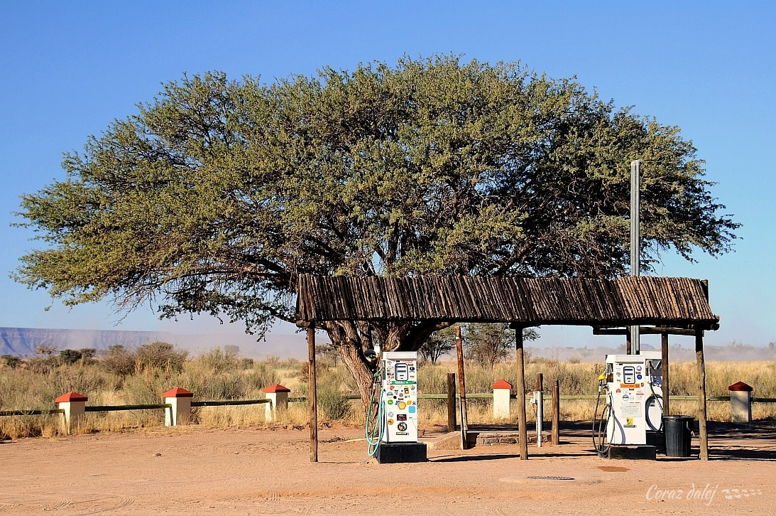 Namibia z Elą i Marcinem