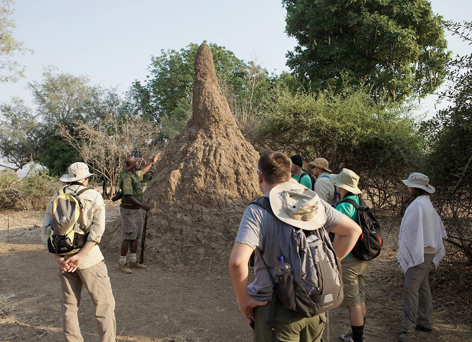 Zambia, Malawi, Mozambik, Zimbabwe