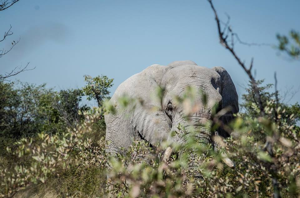 Botswana z Adventrue cz.2