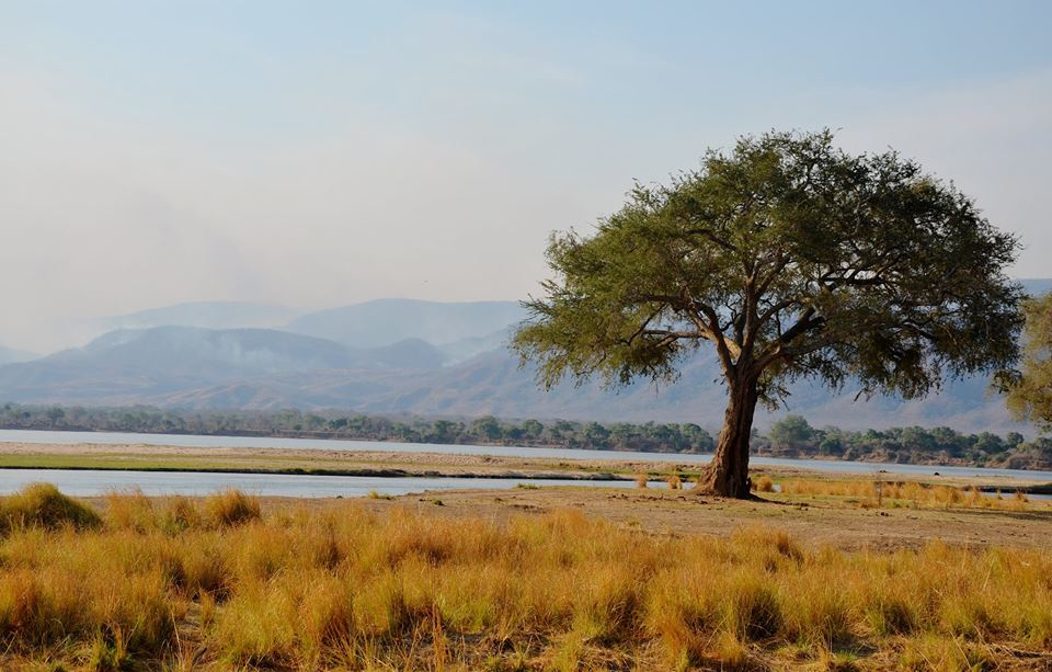 Zambia, Malawi, Mozambik, Zimbabwe