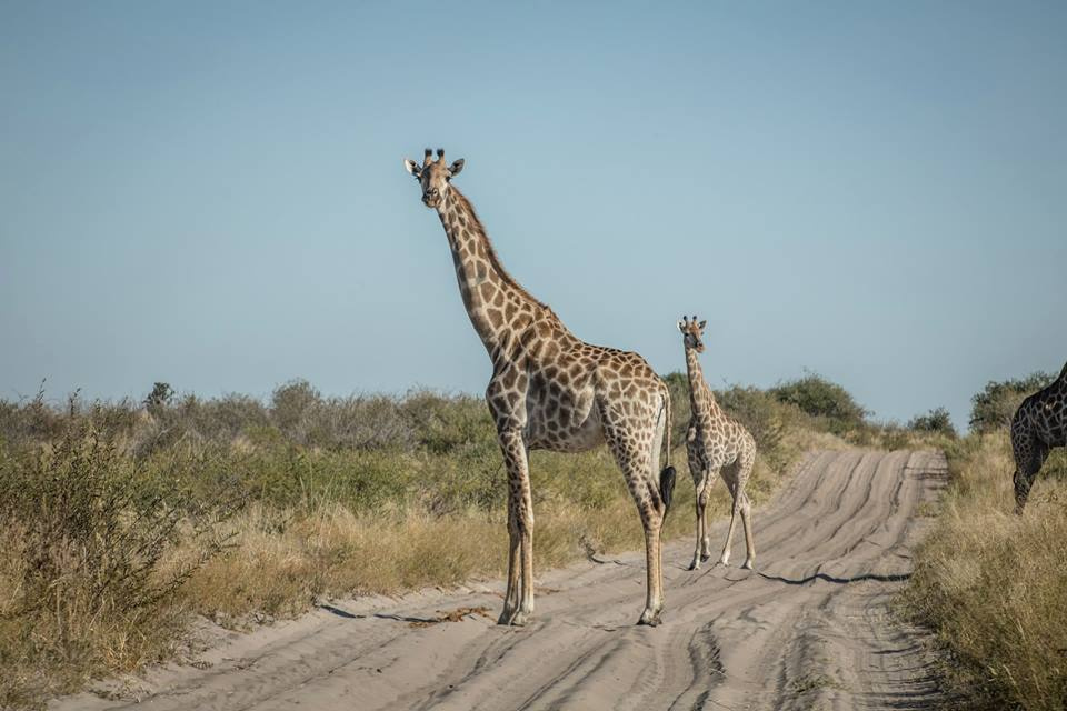 Botswana z Adventrue cz.2