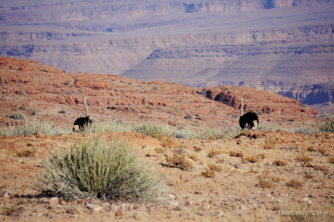 Namibia z Elą i Marcinem