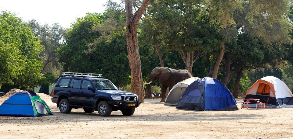 Zambia, Malawi, Mozambik, Zimbabwe