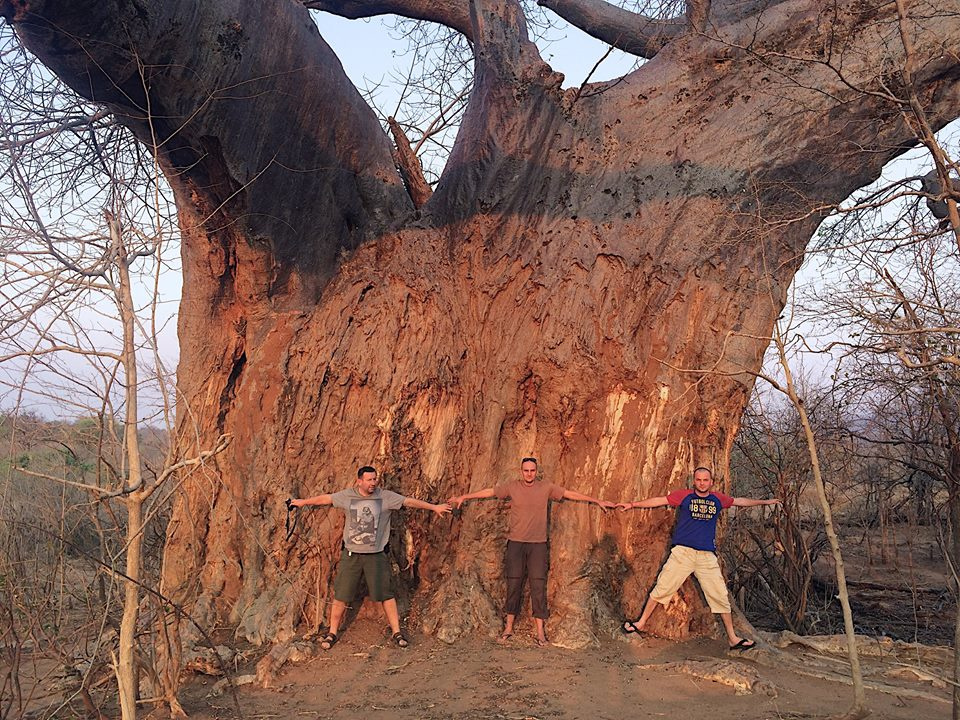 Zambia, Malawi, Mozambik, Zimbabwe