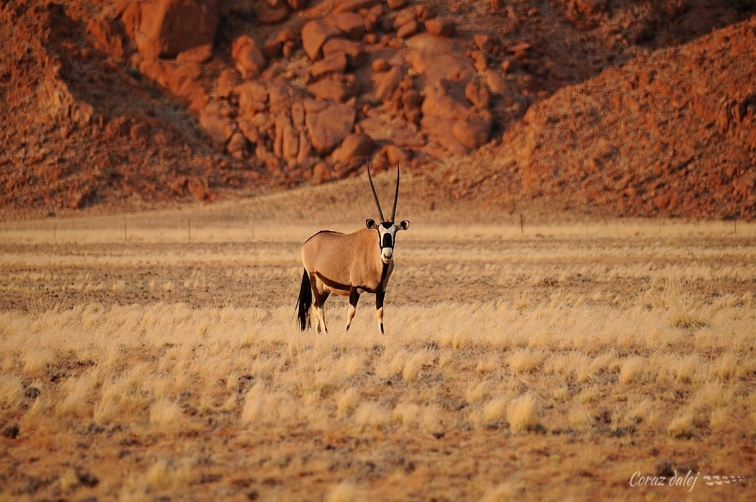 Namibia z Elą i Marcinem