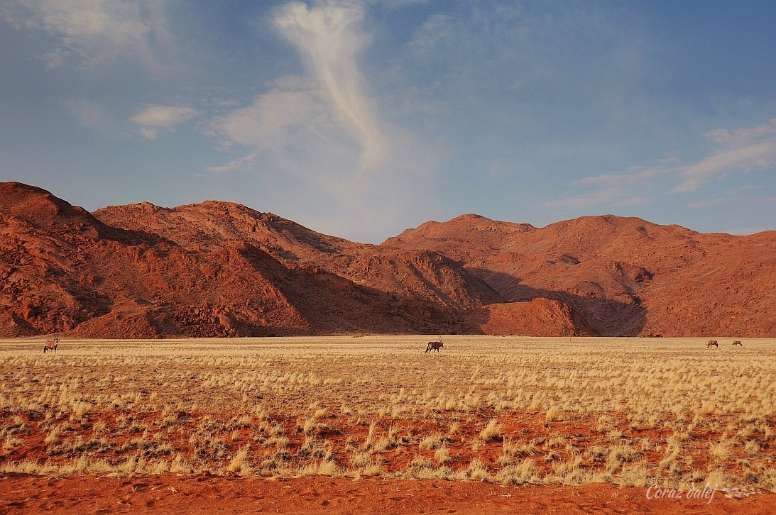 Namibia z Elą i Marcinem