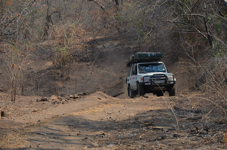 Zambia, Malawi, Mozambik, Zimbabwe