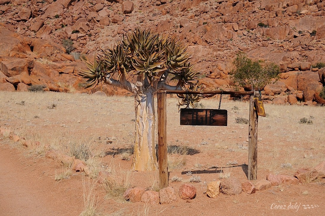 Namibia z Elą i Marcinem