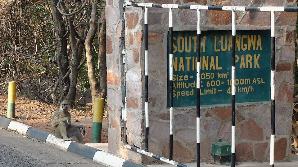 Zambia, Malawi, Mozambik, Zimbabwe