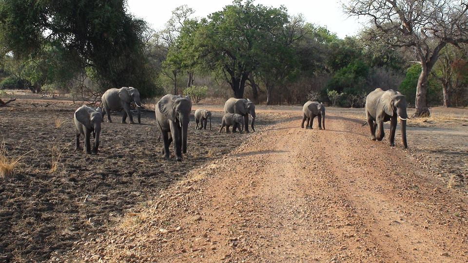 Zambia, Malawi, Mozambik, Zimbabwe