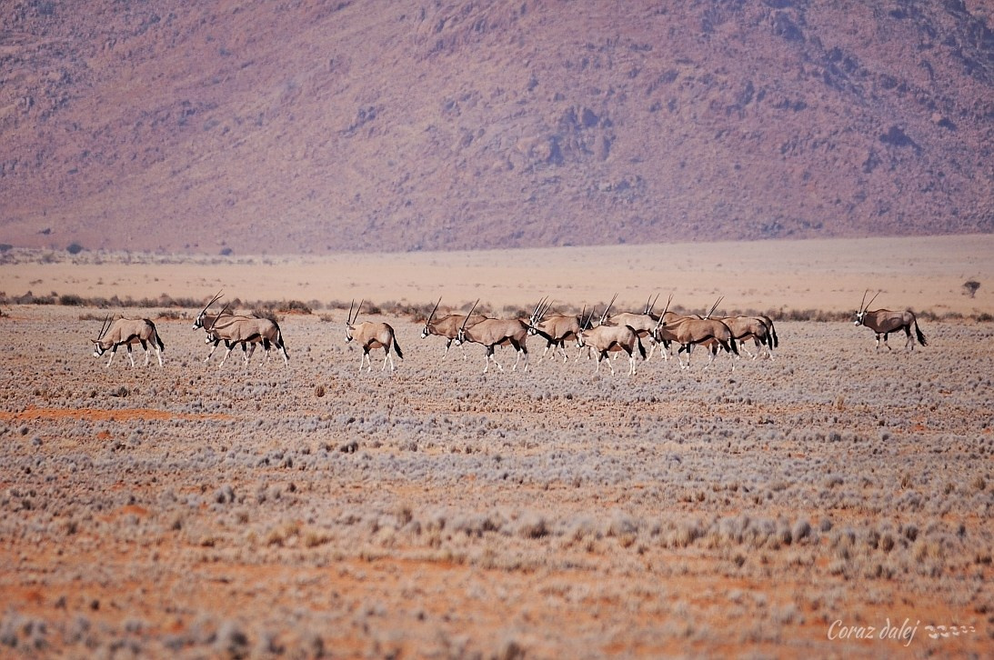 Namibia z Elą i Marcinem