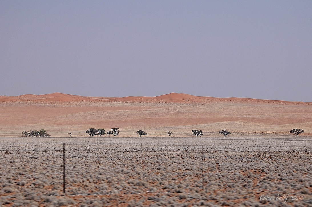 Namibia z Elą i Marcinem