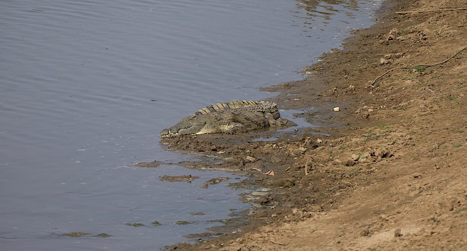 Zambia, Malawi, Mozambik, Zimbabwe
