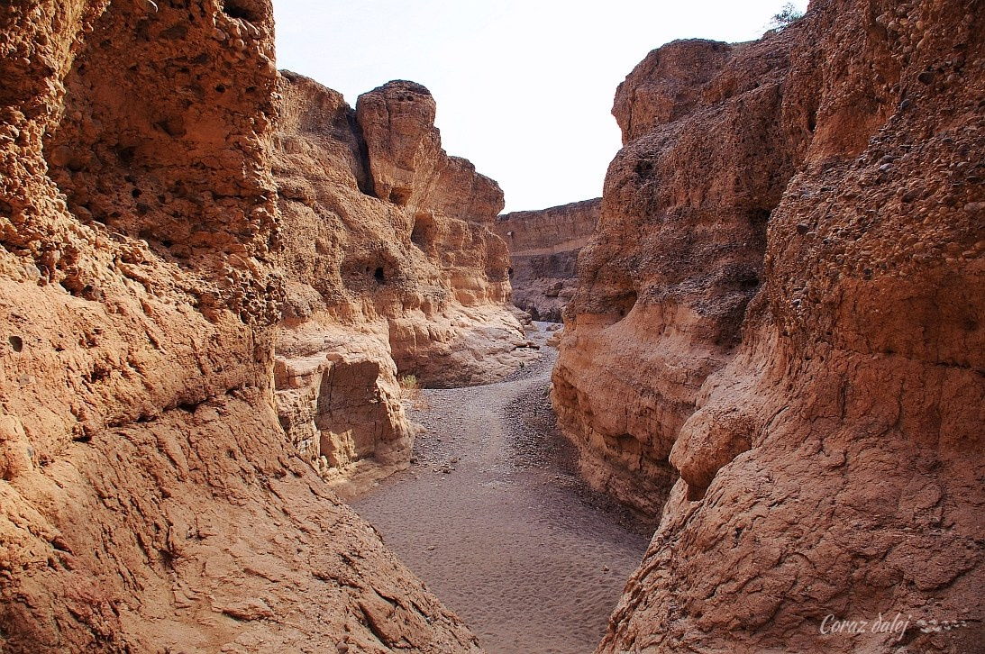Namibia z Elą i Marcinem