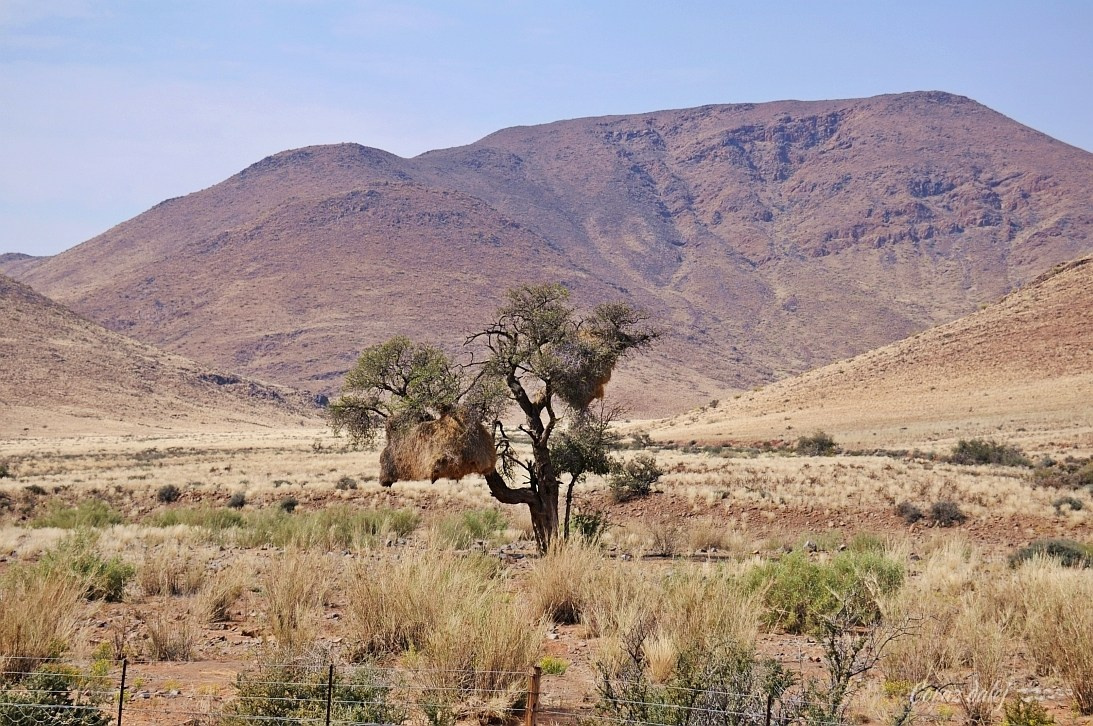 Namibia z Elą i Marcinem