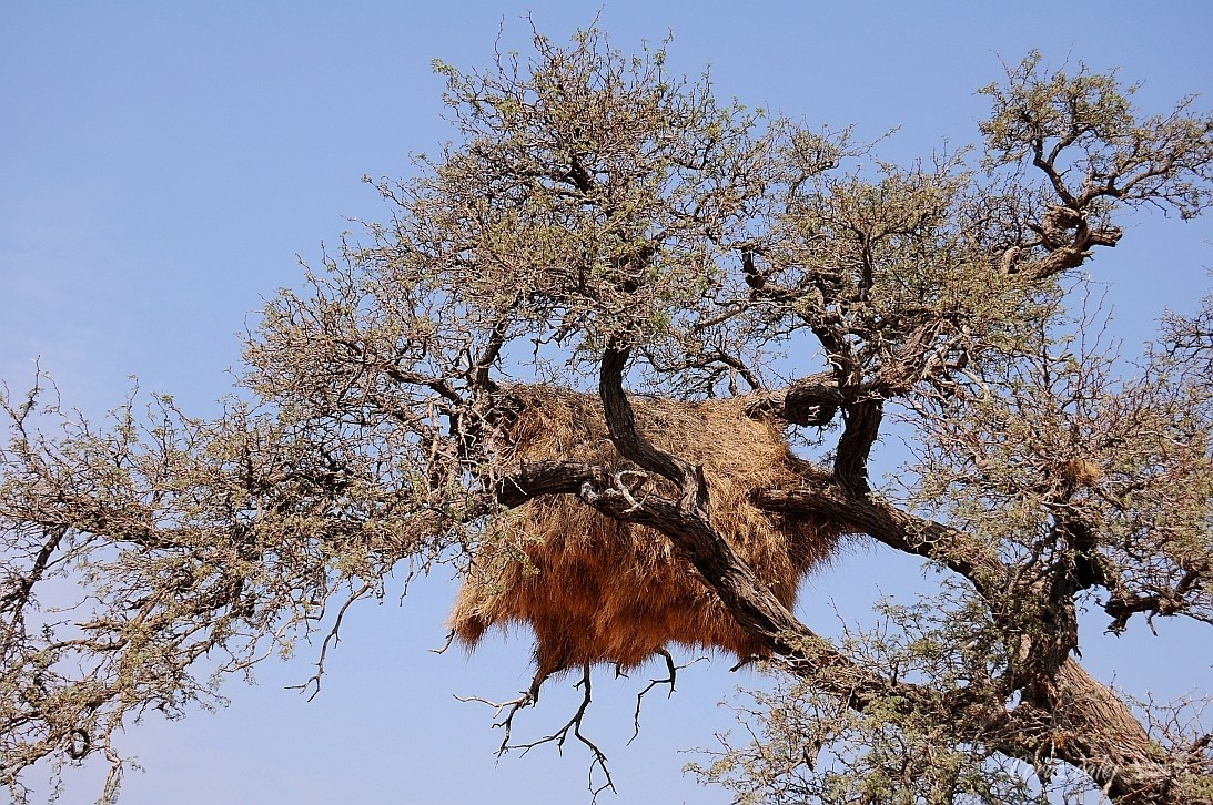 Namibia z Elą i Marcinem