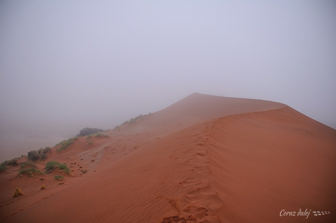 Namibia z Elą i Marcinem