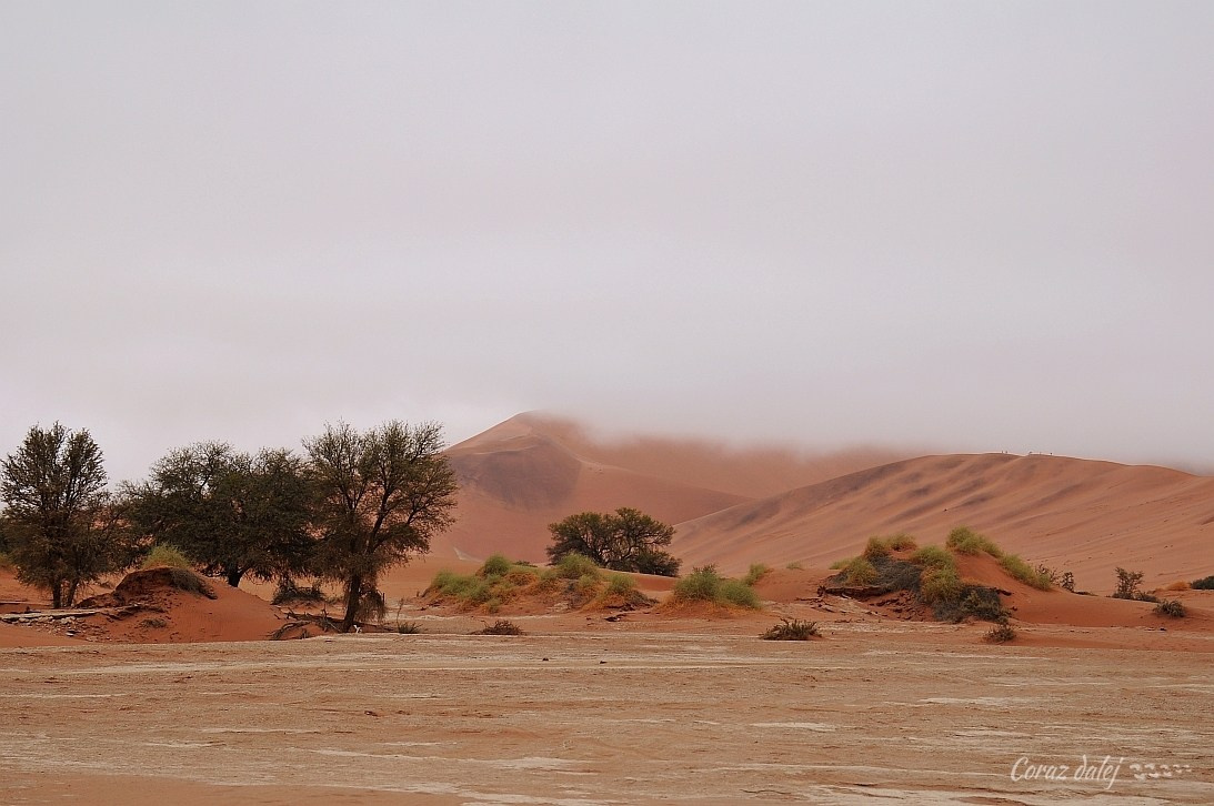 Namibia z Elą i Marcinem