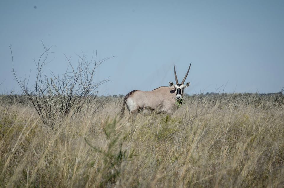 Botswana z Adventrue cz.2