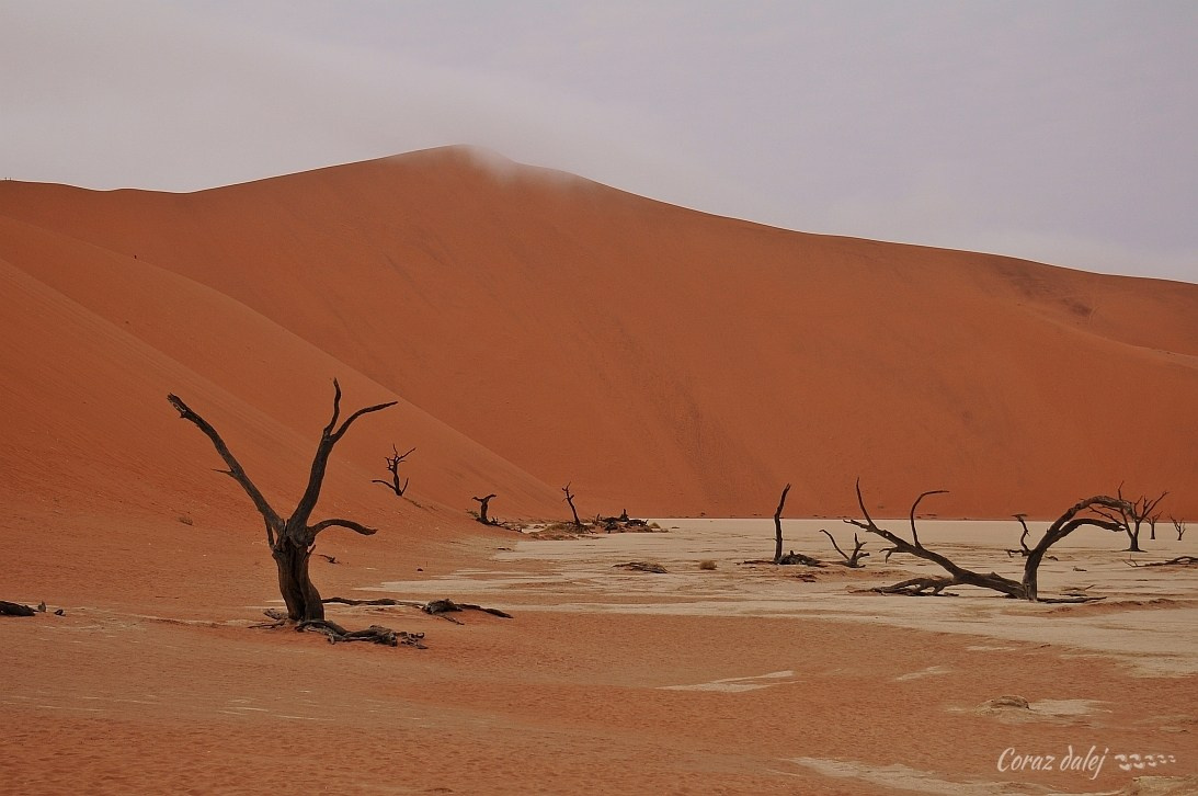 Namibia z Elą i Marcinem