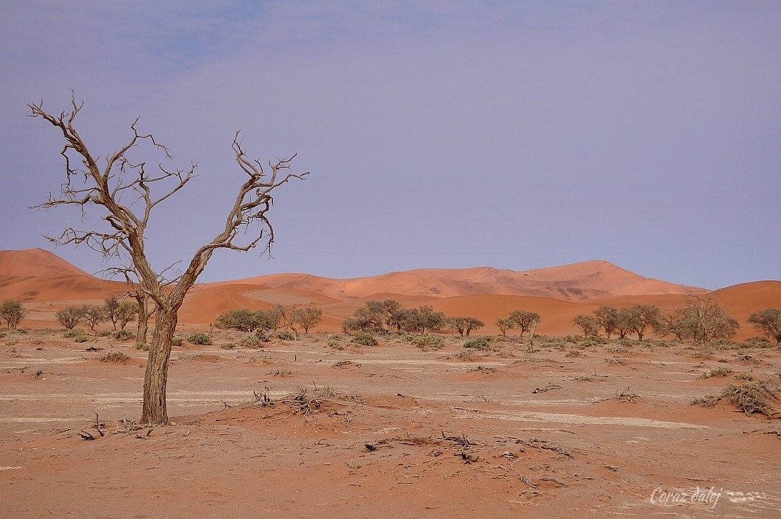 Namibia z Elą i Marcinem