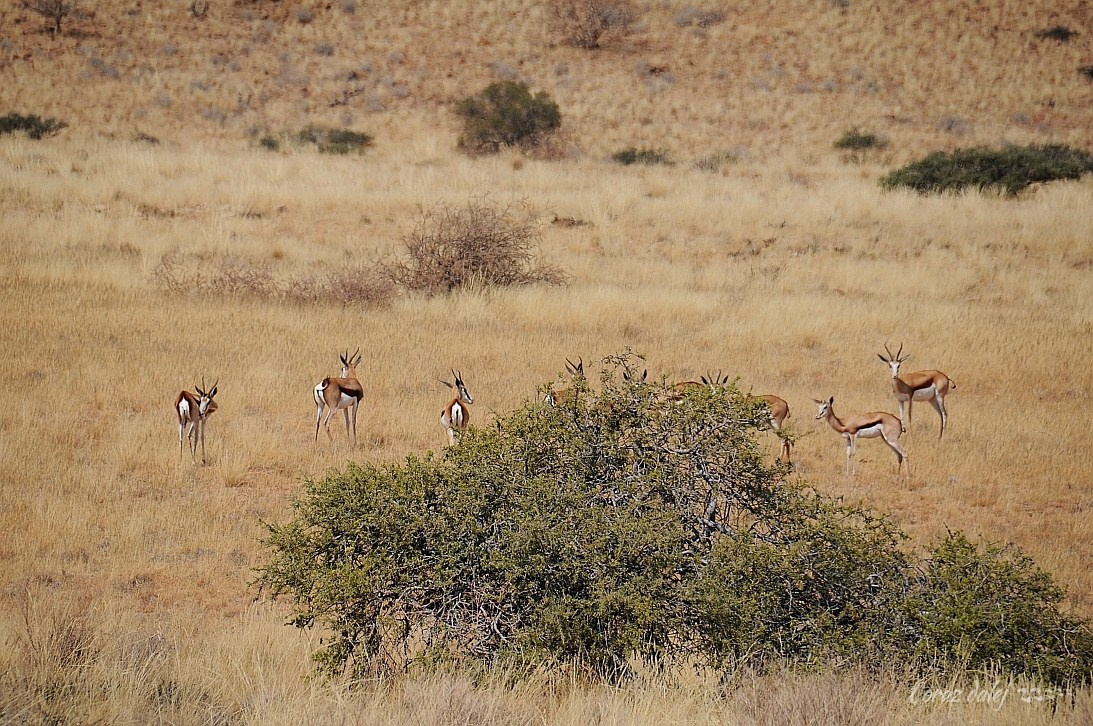 Namibia z Elą i Marcinem