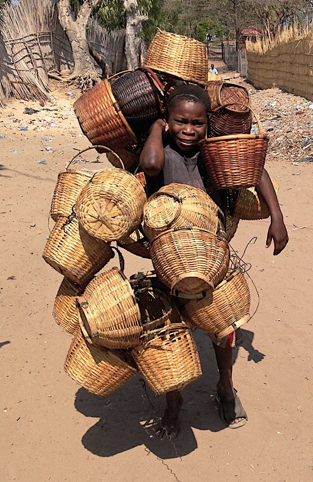 Zambia, Malawi, Mozambik, Zimbabwe