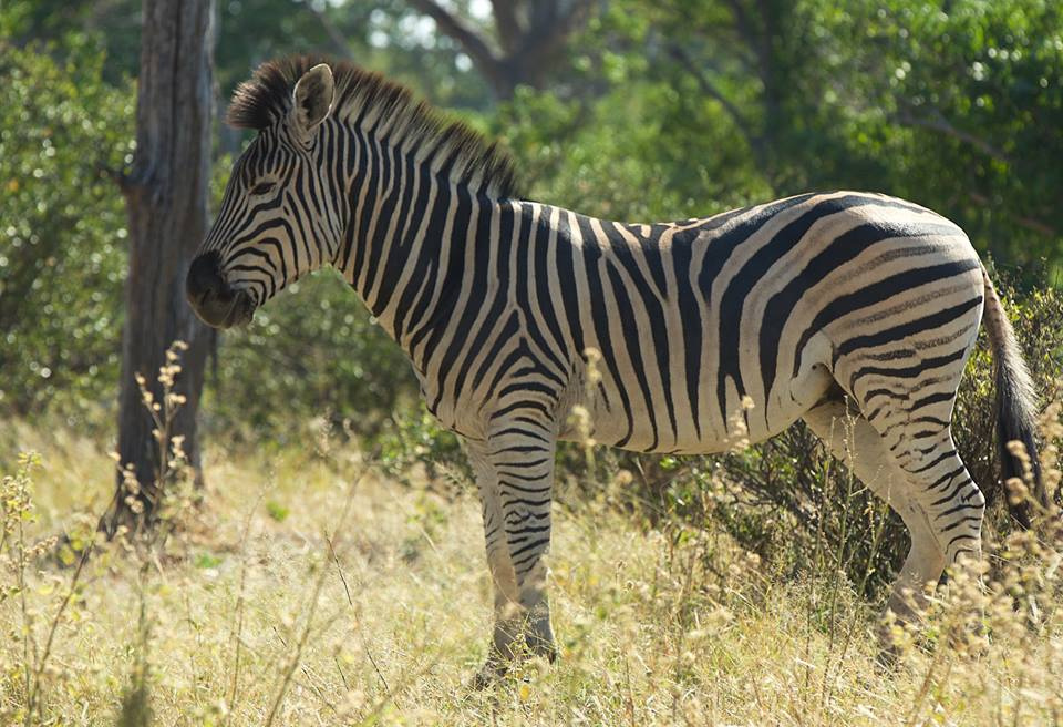 Botswana z Adventrue.pl cz.3