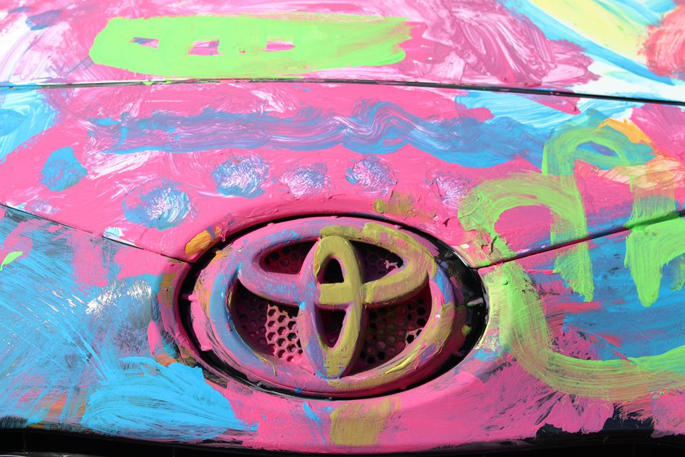 Piknik Toyota Bońkowscy i Toyota Fietz