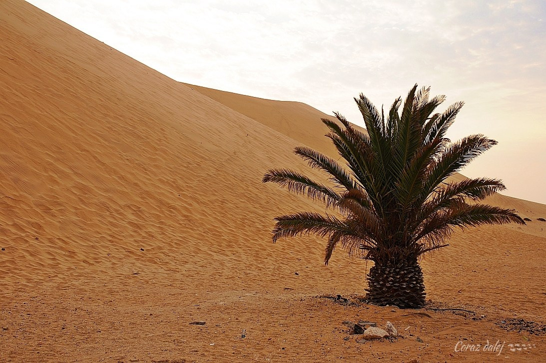 Namibia z Elą i Marcinem