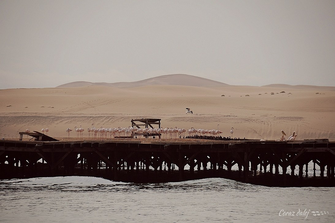 Namibia z Elą i Marcinem