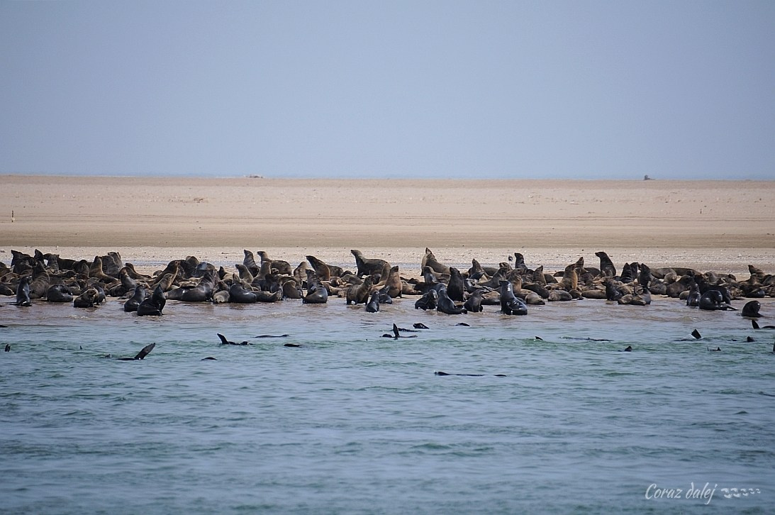 Namibia z Elą i Marcinem