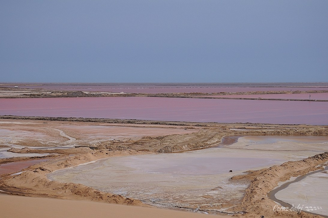 Namibia z Elą i Marcinem