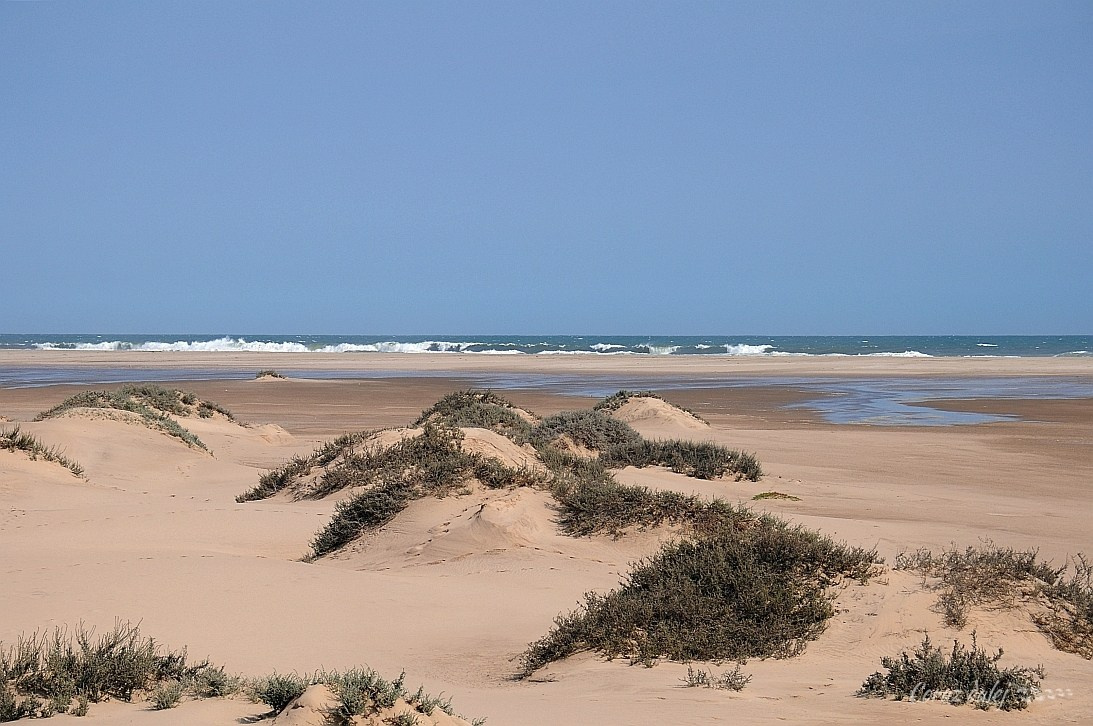 Namibia z Elą i Marcinem