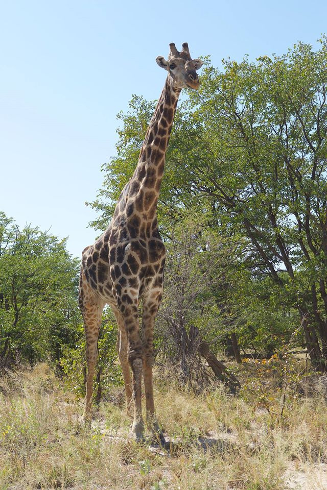 Botswana z Adventrue.pl cz.3