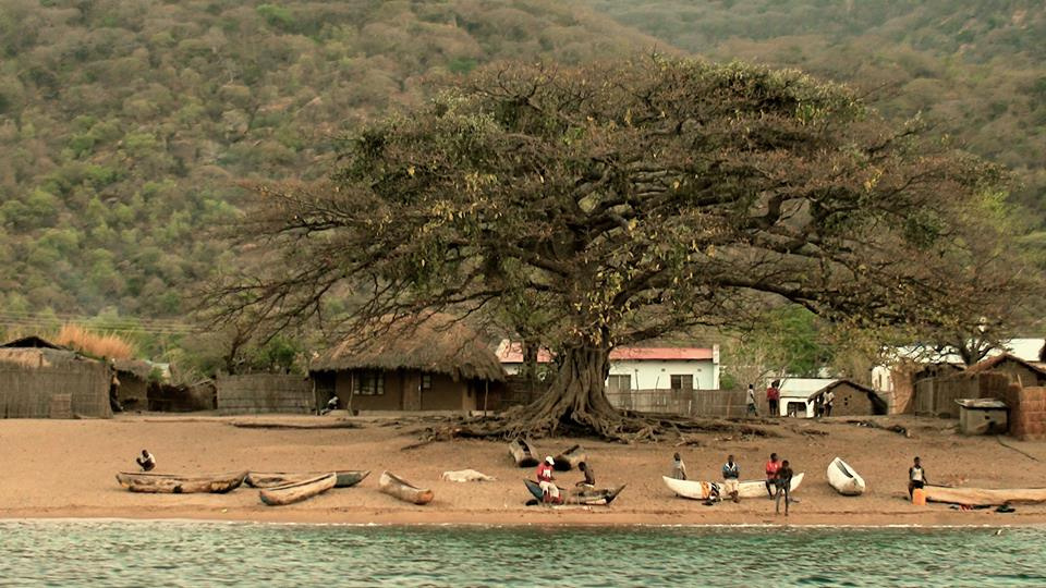 Zambia, Malawi, Mozambik, Zimbabwe