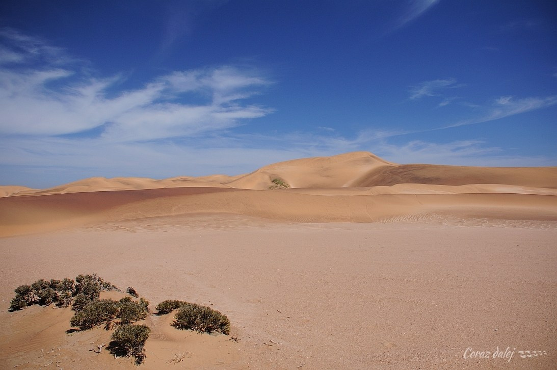 Namibia z Elą i Marcinem