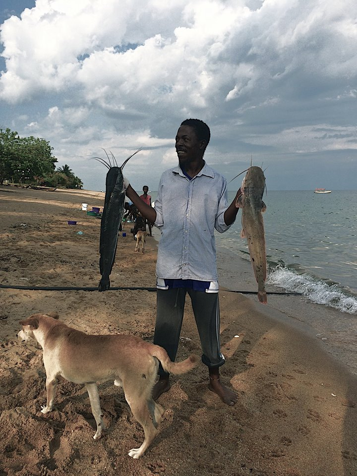 Zambia, Malawi, Mozambik, Zimbabwe