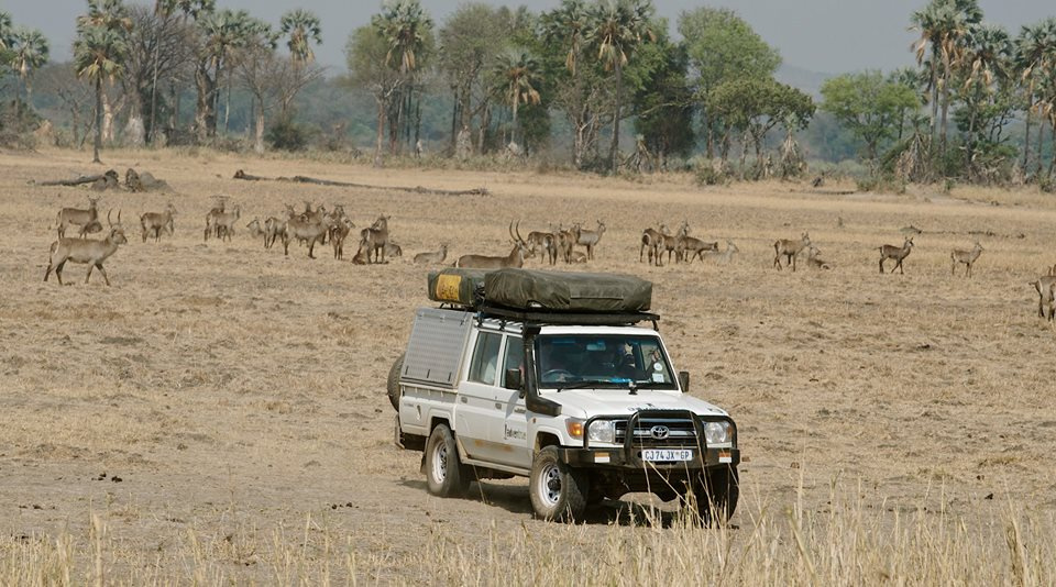 Zambia, Malawi, Mozambik, Zimbabwe