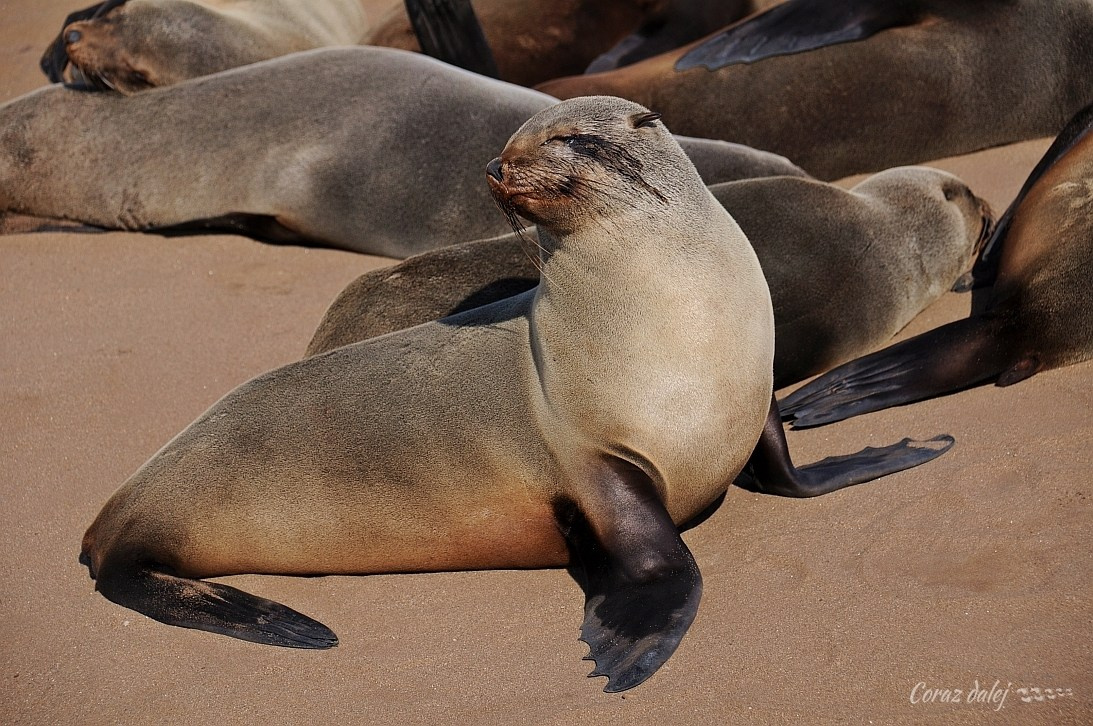 Namibia z Elą i Marcinem