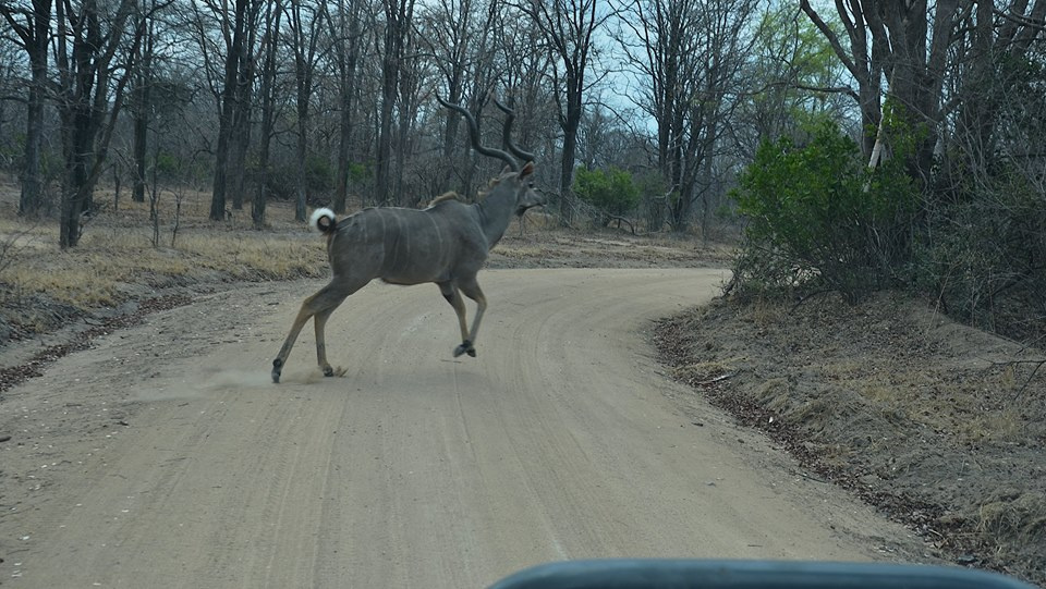 Zambia, Malawi, Mozambik, Zimbabwe
