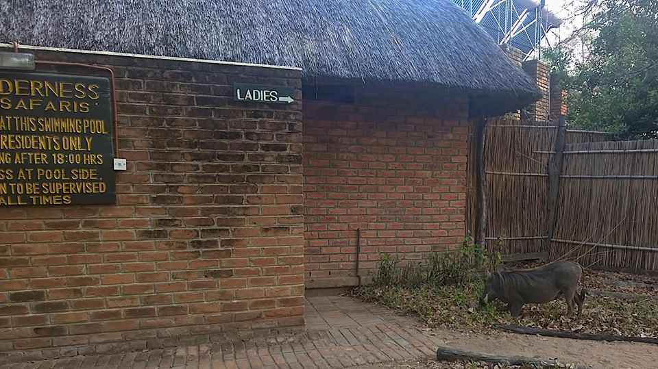 Zambia, Malawi, Mozambik, Zimbabwe