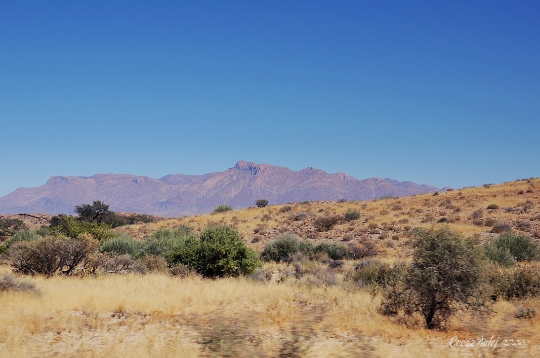 Namibia z Elą i Marcinem