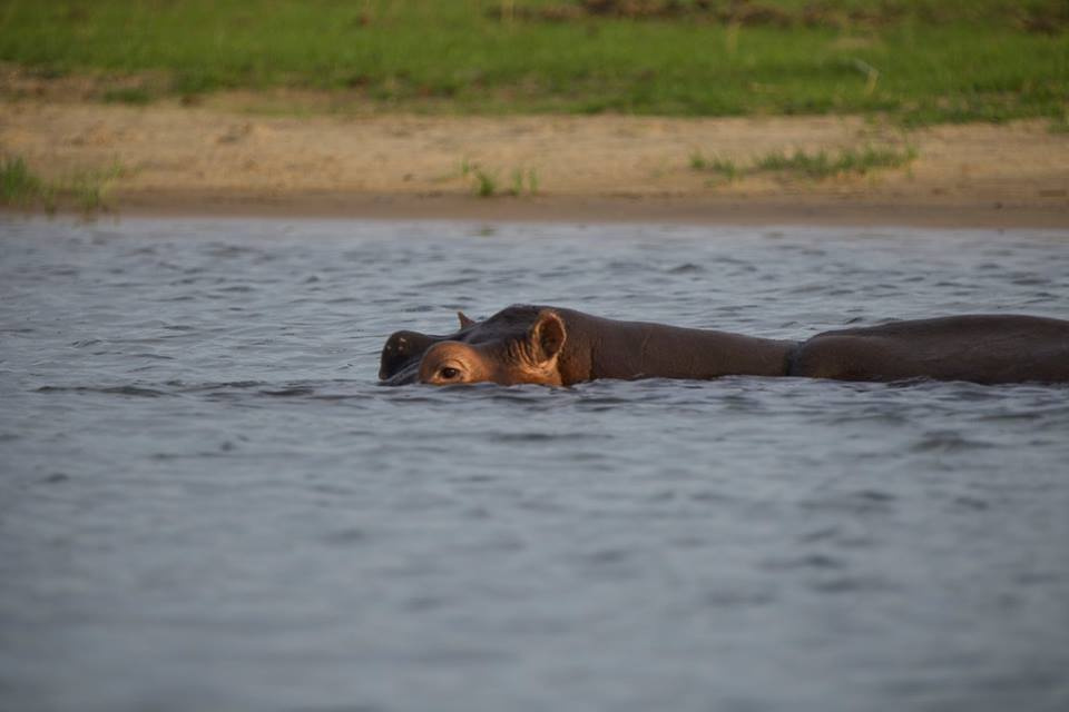 Zambia, Malawi, Mozambik, Zimbabwe