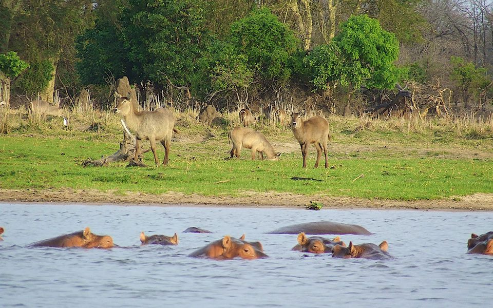 Zambia, Malawi, Mozambik, Zimbabwe