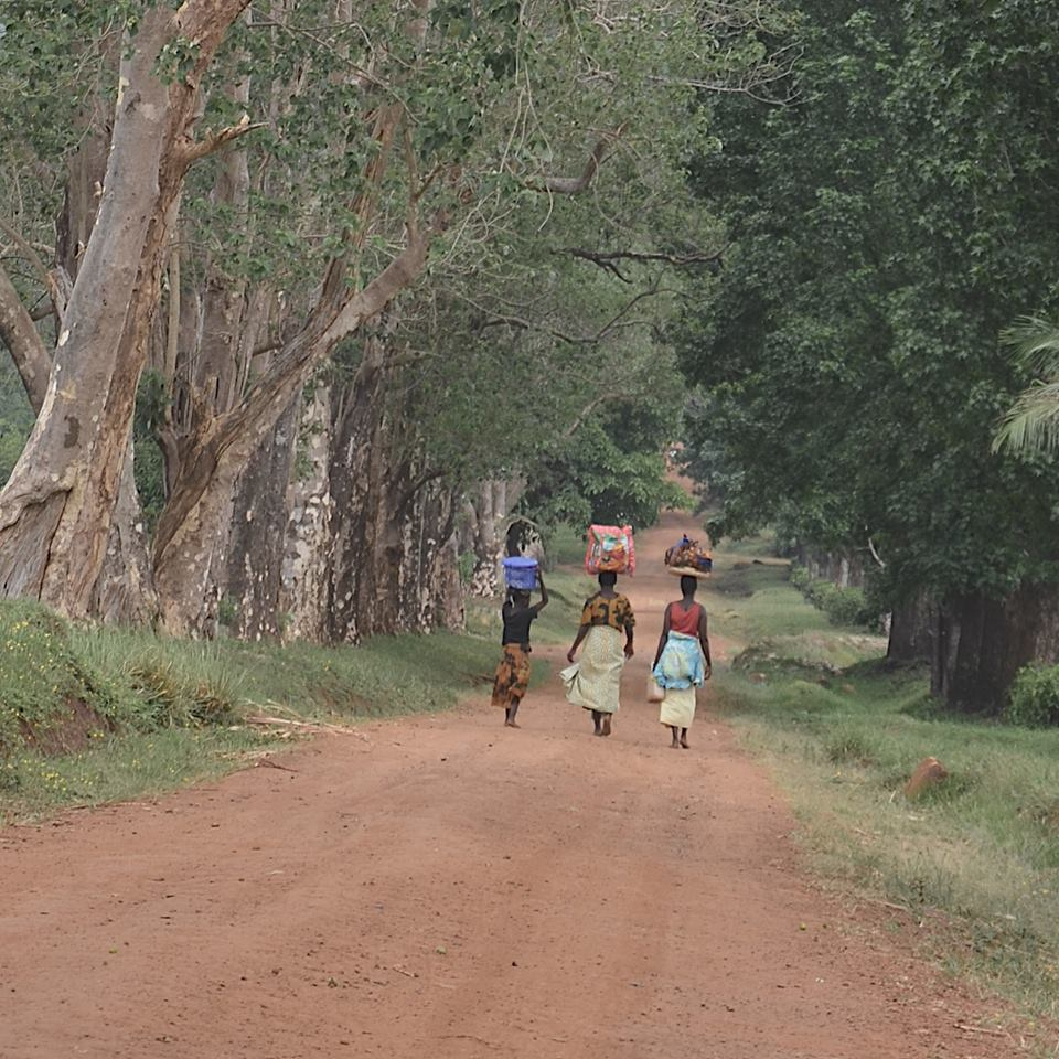 Zambia, Malawi, Mozambik, Zimbabwe