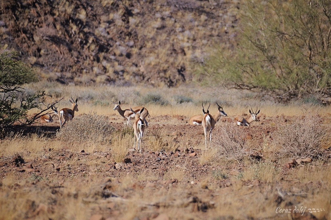 Namibia z Elą i Marcinem
